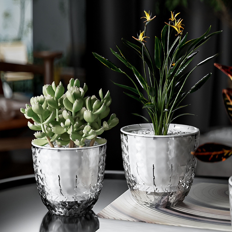 Aloe Vera Pot - Przezroczysty plastikowy leniwy doniczka do zielonej