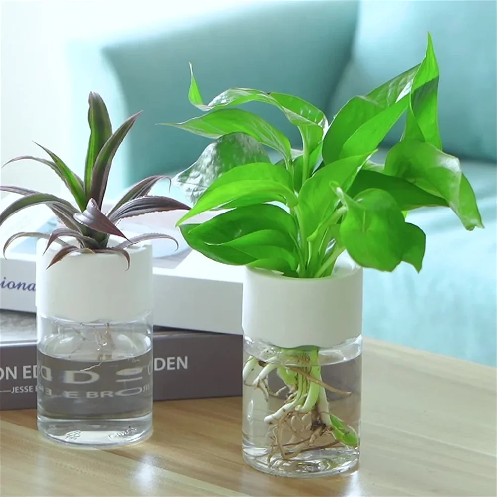 Aloe Vera Pot - Mini hydroponiczna doniczka, przezroczysty wazon do