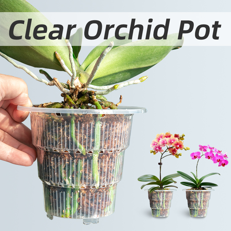 Przezroczysty z tworzywa sztuc – Aloe Vera Pot recenzja i cena