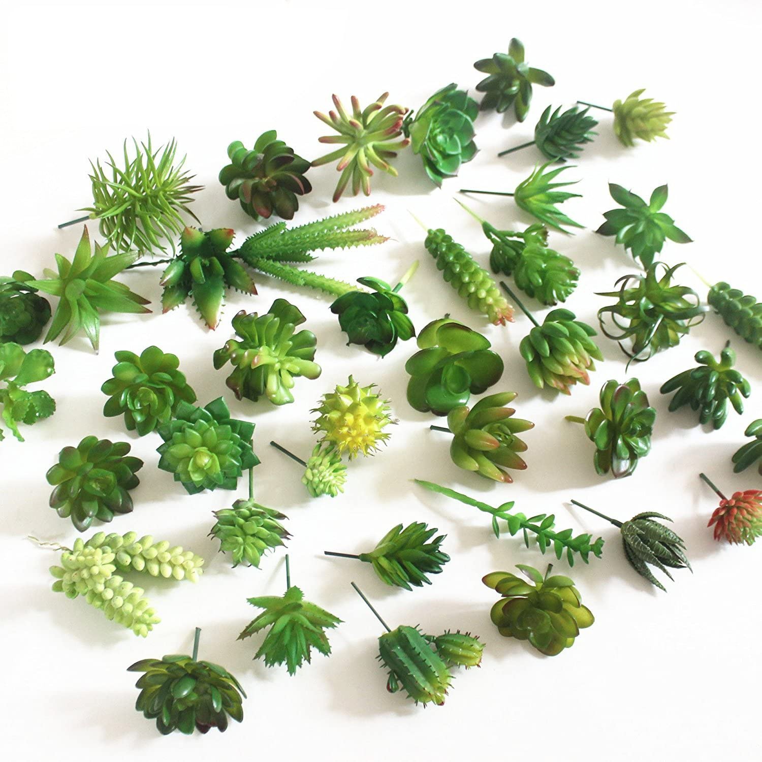15 sztuk sztuczne sukulenty de – Echeveria Succulent recenzja i cena