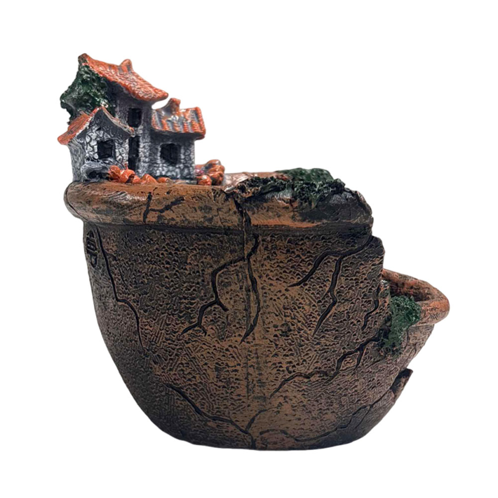 Doniczka na sukulenty w stylu  – Echeveria Succulent recenzja i cena