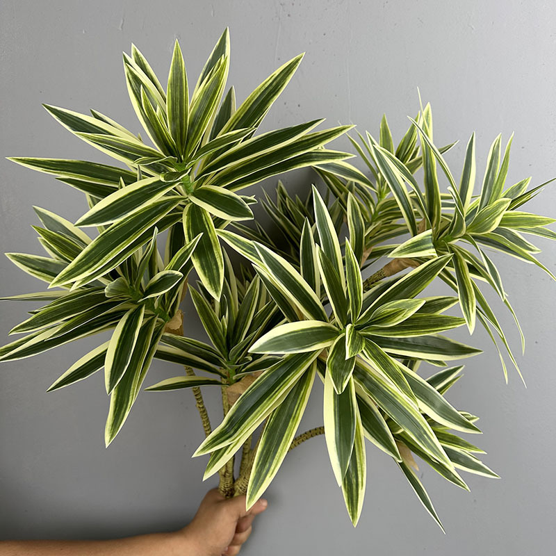 Sztuczne rośliny, 3 główki lil – Dracaena Marginata recenzja i cena